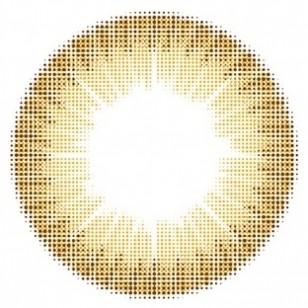 Lens-Town Precollege Brown(月拋)